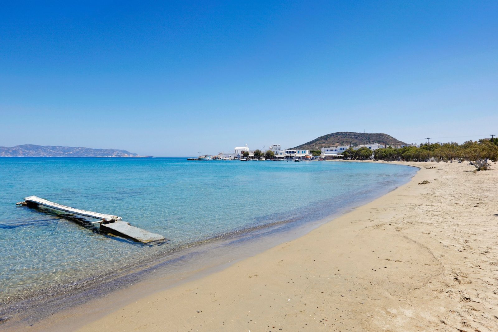 Pollonia